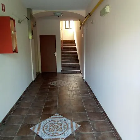 Soba Arena Guest house